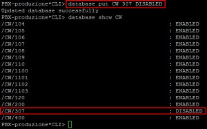 Asterisk CLI - database put